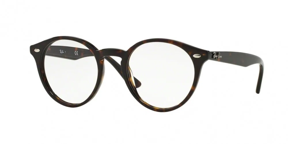 Ray-Ban 2180V Eyeglasses - view 3